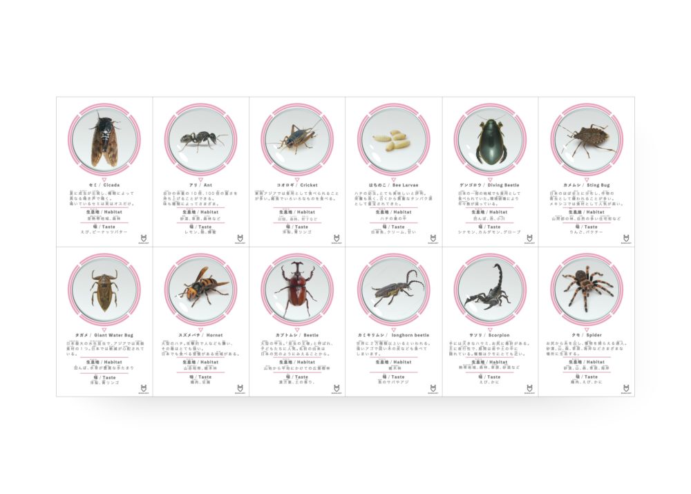 190223_未来の給食_昆虫食カード_white_vidual_アートボード 1
