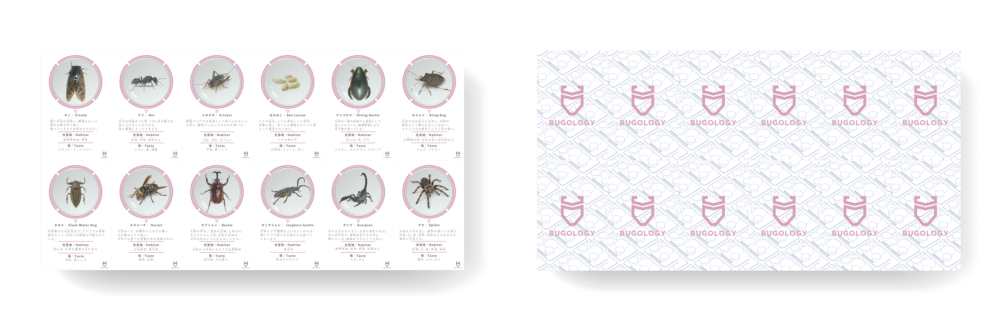 190223_未来の給食_昆虫食カード_まとめ002_vidual