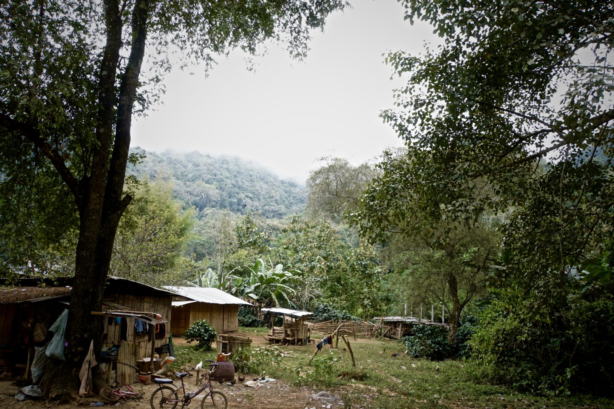 24823641678_88fc7045cf_o