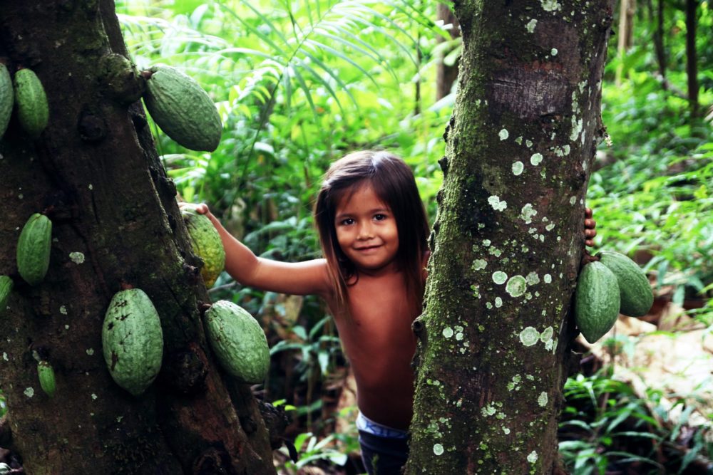 50638555_2475210475827614_881947379337527296_o