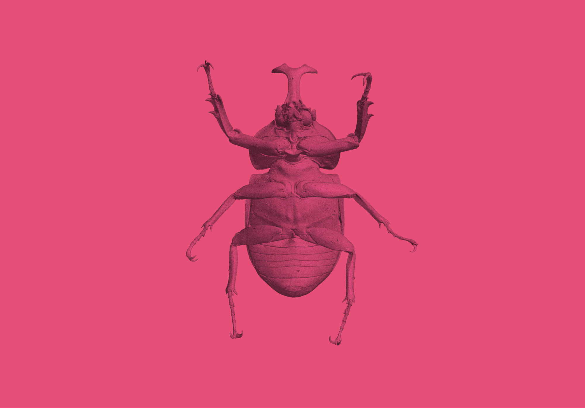 190306昆虫食解体新書_啓蟄祭_vidual_アートボード 1