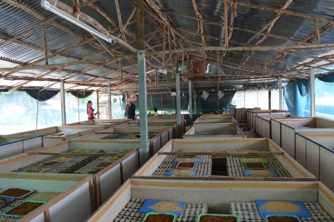 昆虫養殖の世界